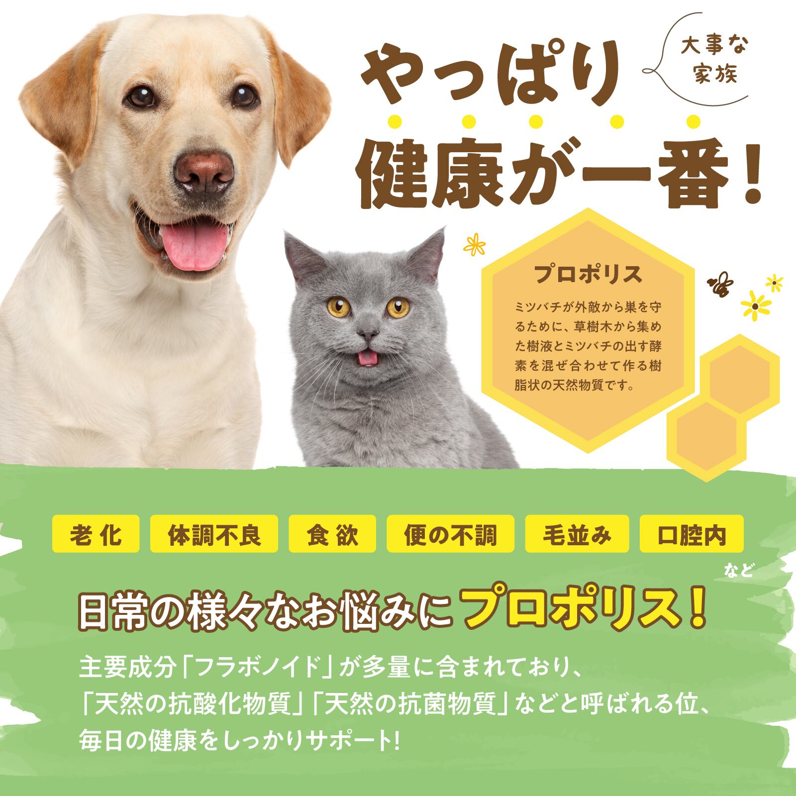 ミナスプロン プロポリス スーパー for PETS 30cc 約1カ月分 全4サイズ