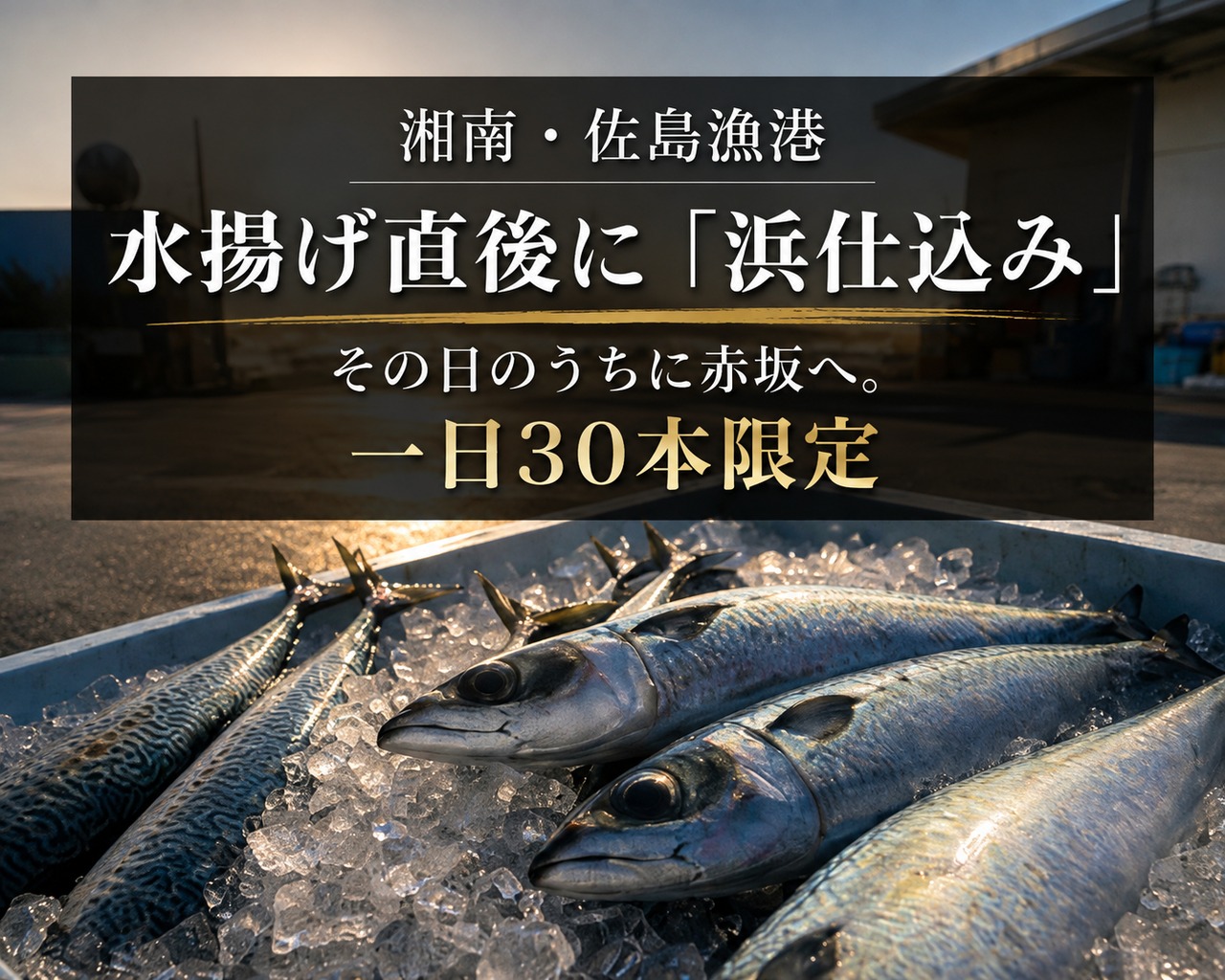 【湘南佐島直送】当日仕込み 極上〆さば「いぶき棒」｜高級さば棒寿司【赤坂一颯】