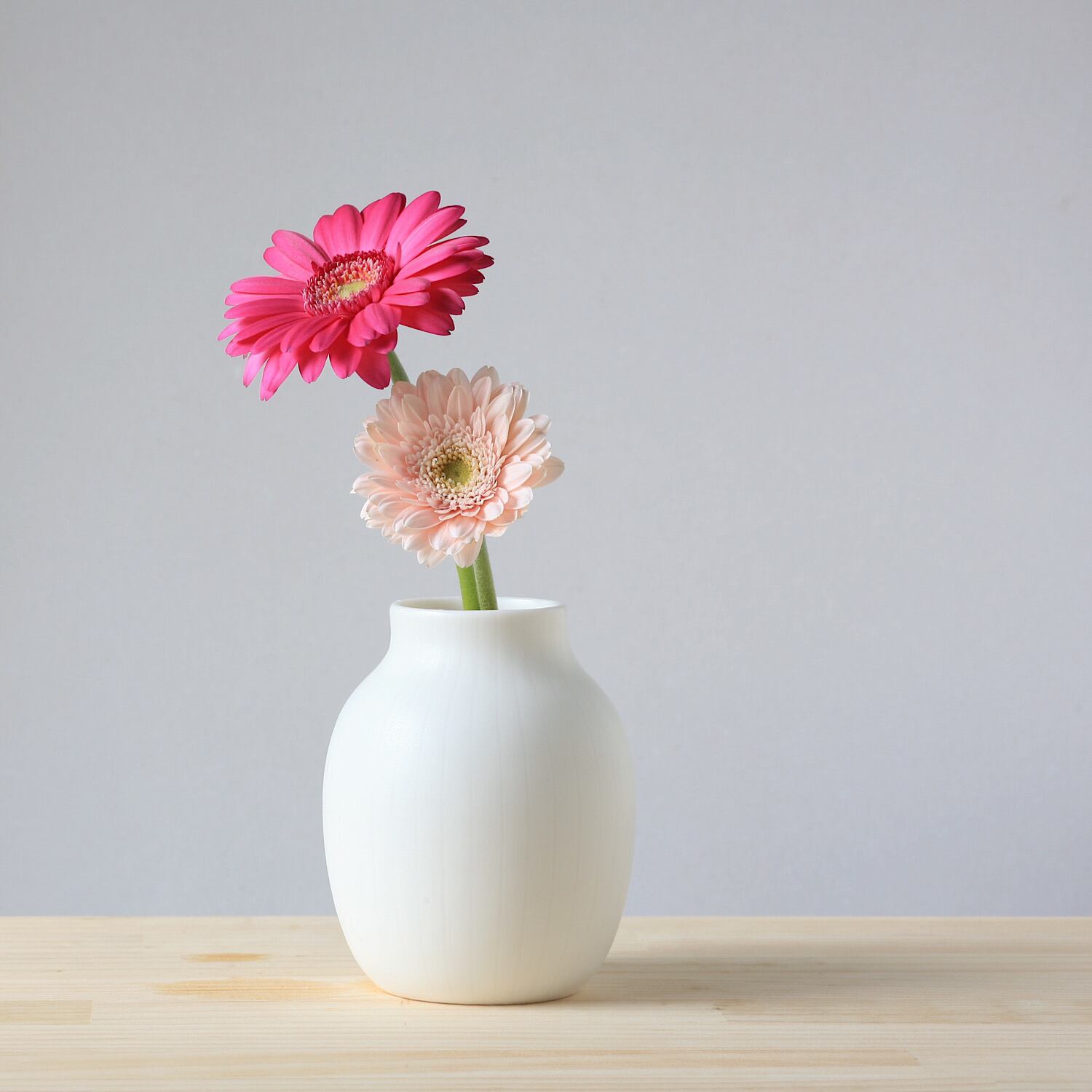 白磁の花器 マット- 39 | studio bwanji