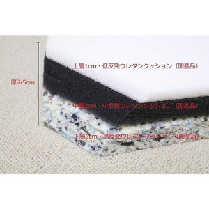 ココハート(CocoHeart) ペット用介護マット（日本製）３種類のクッション素材で体圧分散 床ずれ予防 (100cm×100cm, ブラック)