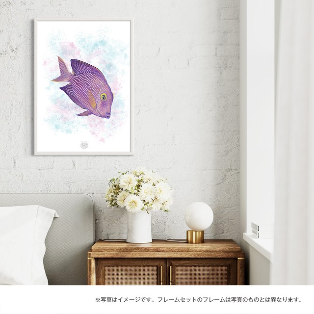 【海のいきものアートポスター／魚】コーレタン