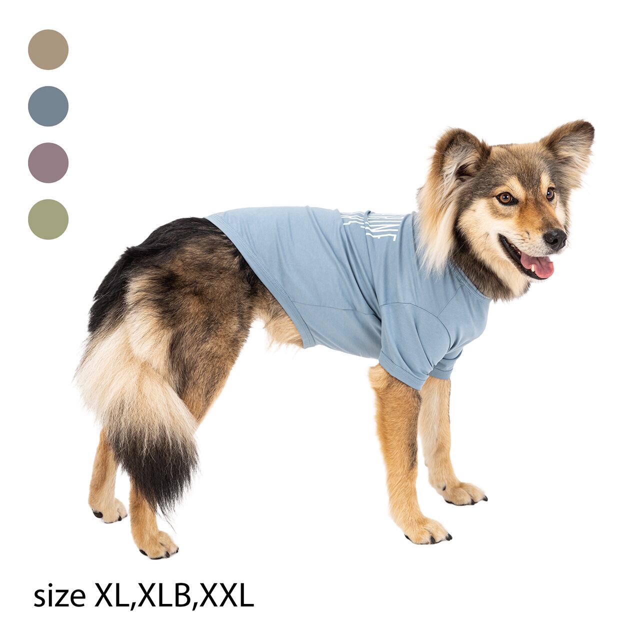 BASIC COOL T-SHIRT（XL,XLB,XXL）　ベーシッククールTシャツ