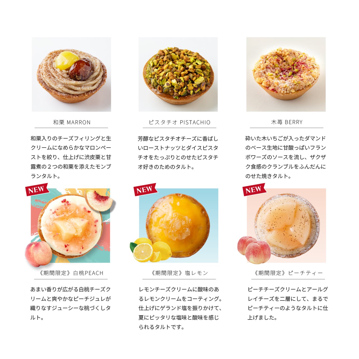 送料無料】【12個入り】 色とりどりのタルトセット ( 期間 限定 塩