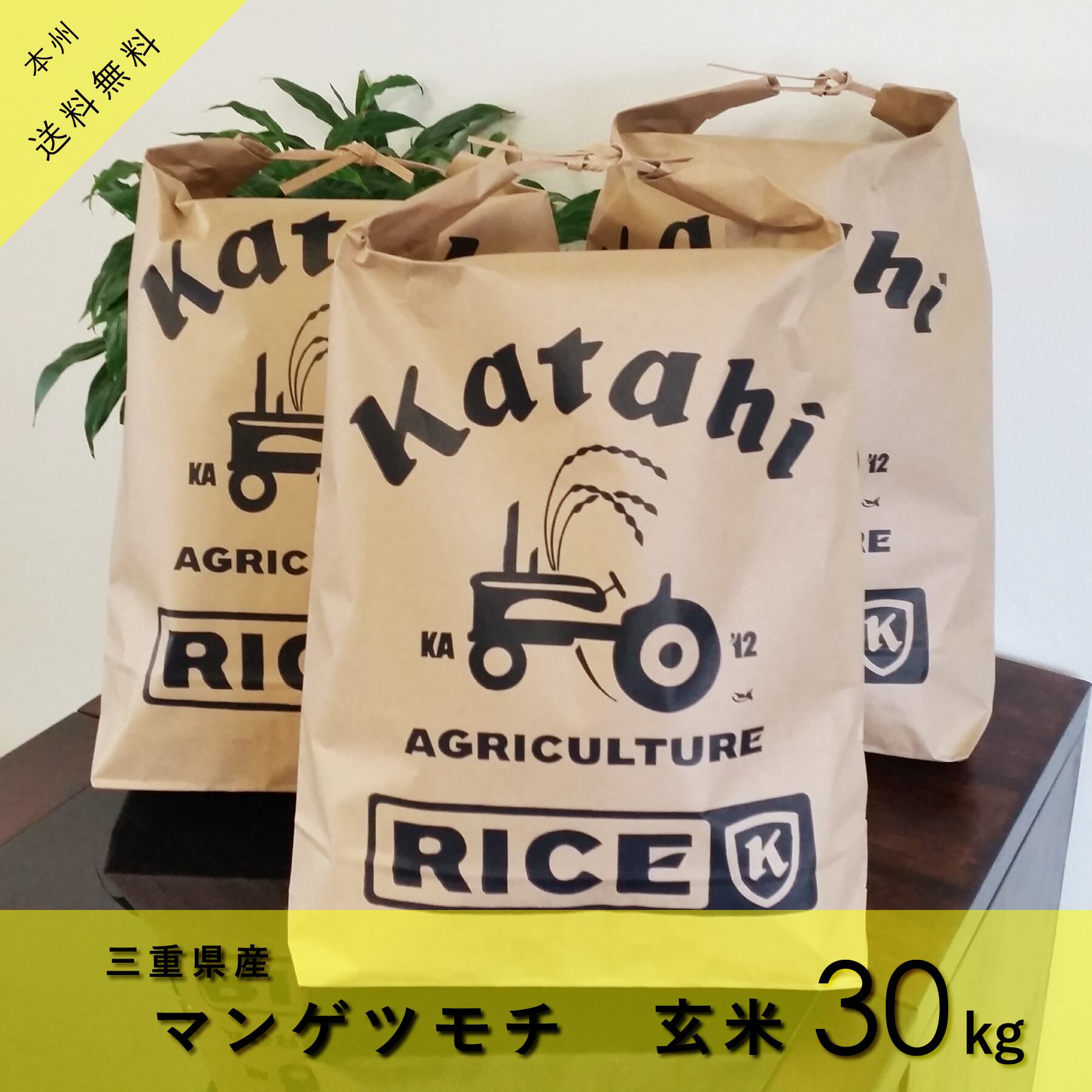 ◇新米◇もち米10kg×3袋◇令和5年三重県産マンゲツモチ玄米30㎏◇　◇◇◇　◇◇◇　カタヒ農産