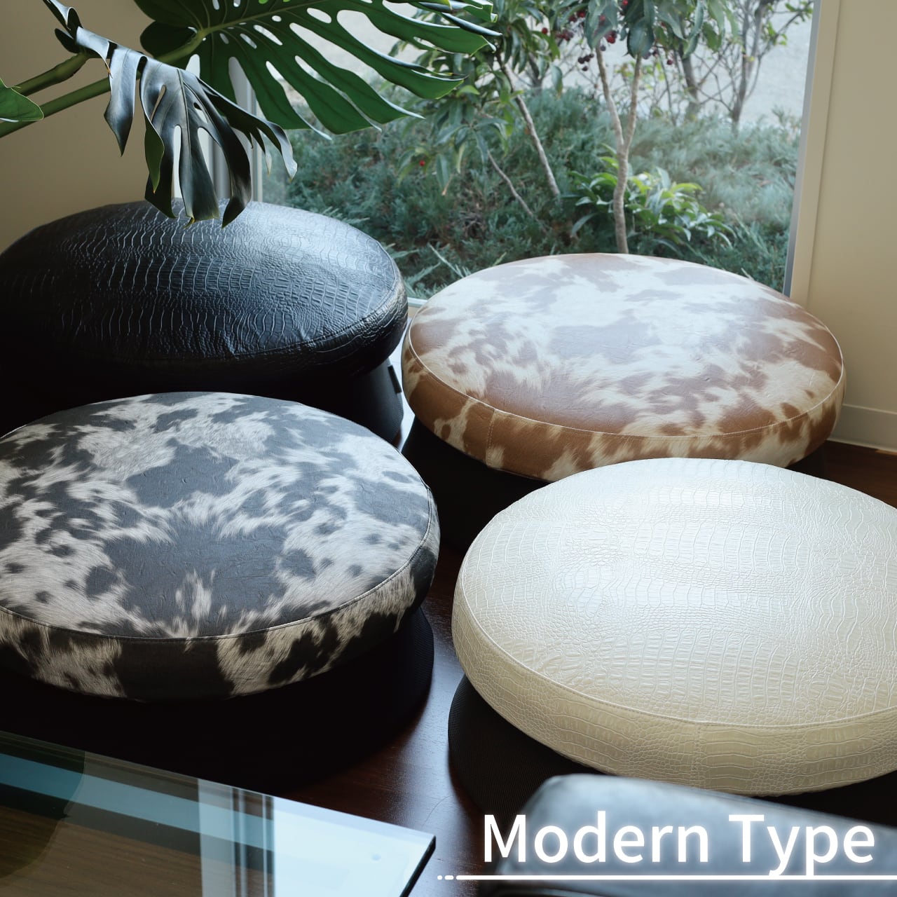 HOME TRAMPOLINE 【 Modern type 】 | MIRAI PLUS