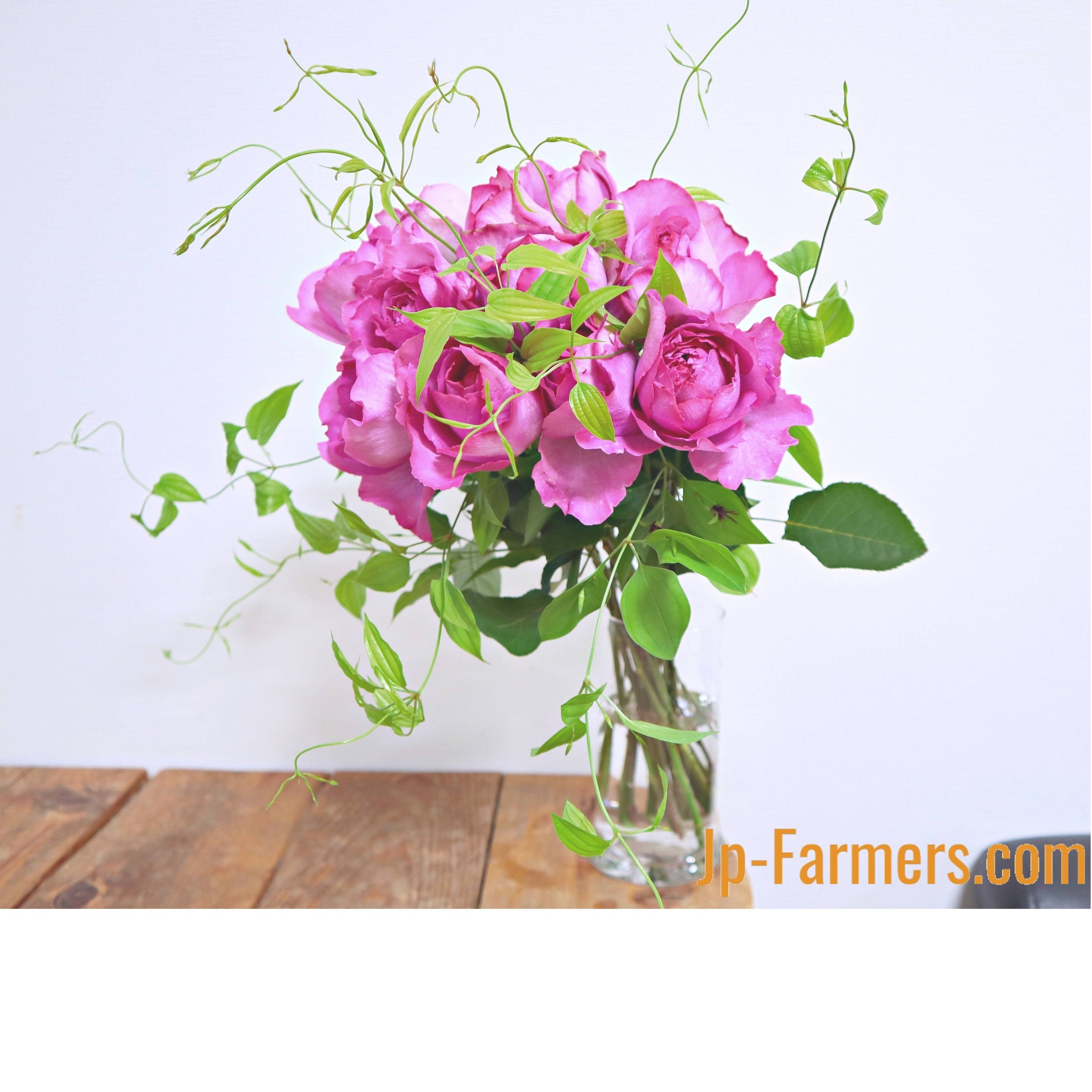 利休草 』 10本 | 新鮮お花問屋 Jp-Farmers.com