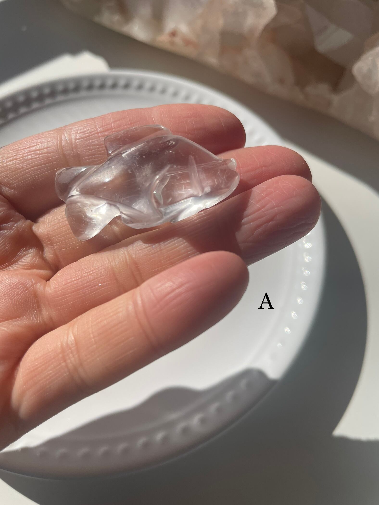 Crystal Fish / 水晶　魚