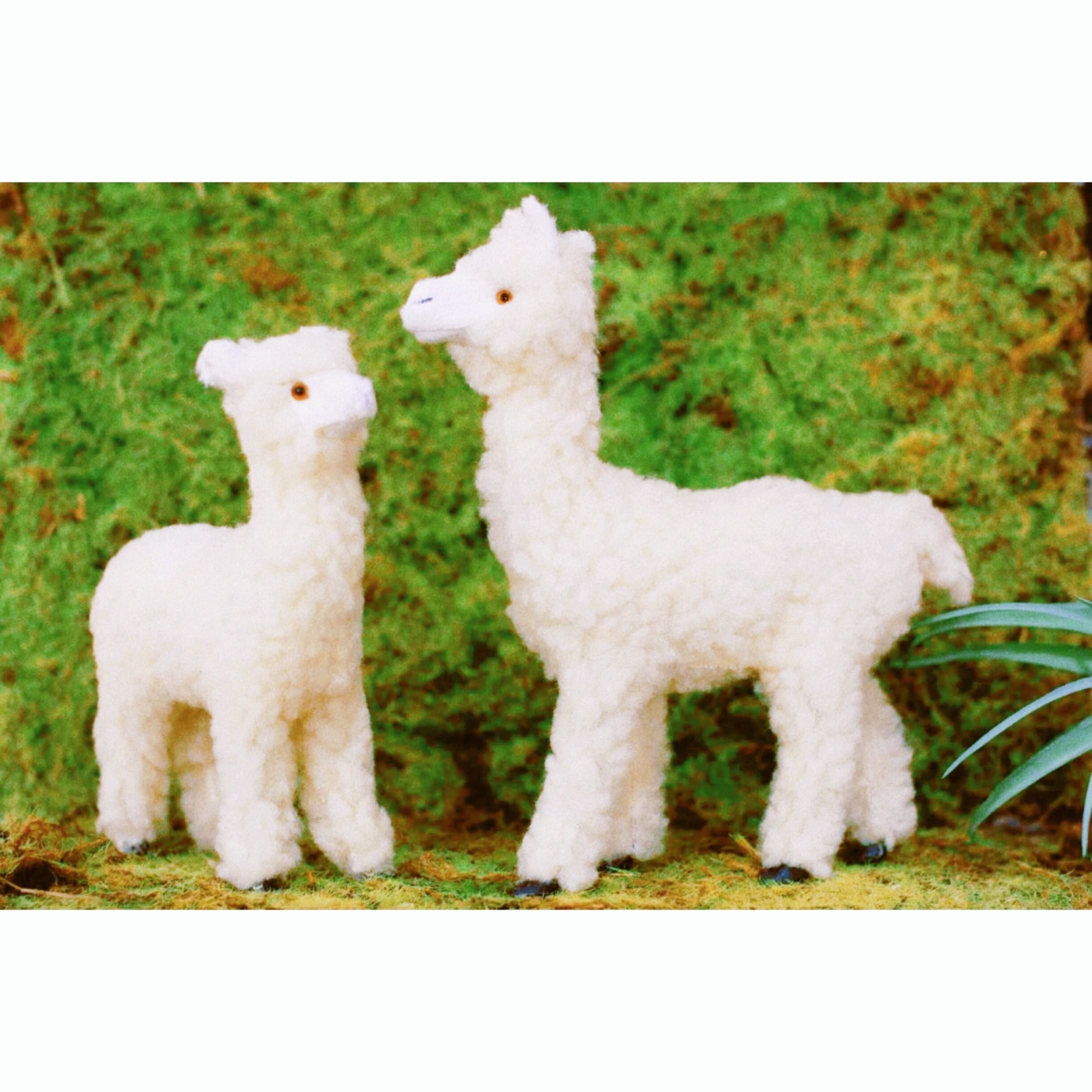 アルパカ羊毛フェルトマスコットM/C0pernicus