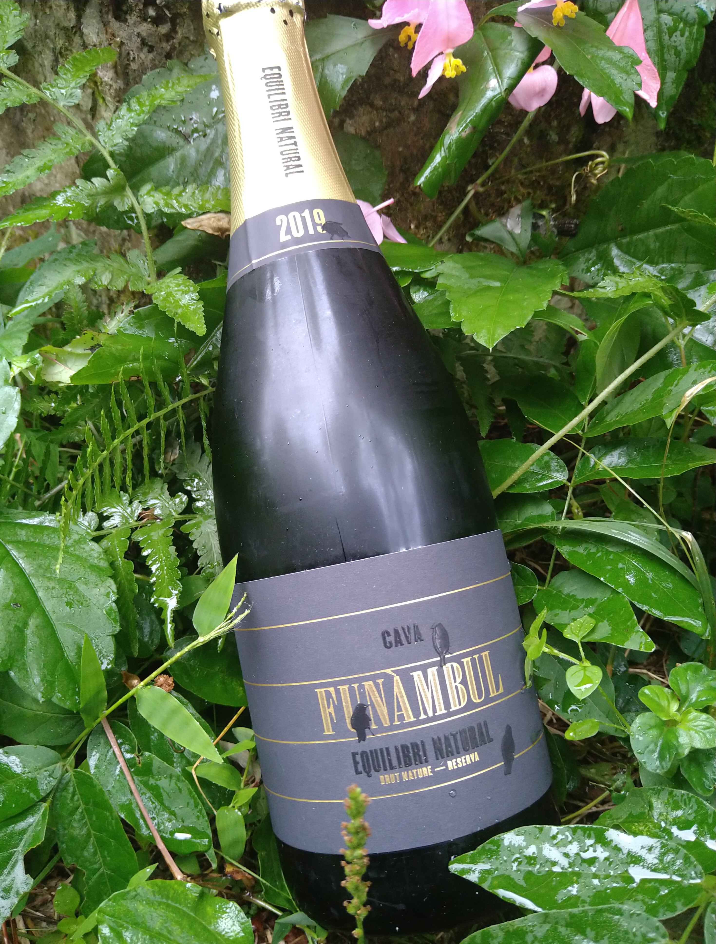 2021年[白] XXI(ヴァンテアン) / ディディエ ダグノー | 大澤田葡萄酒店