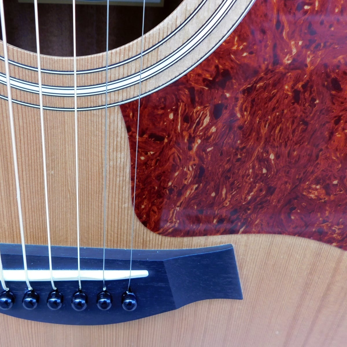 中古 Taylor テイラー 110 JPN LTD 2016 ギグバック付き | マルヤ