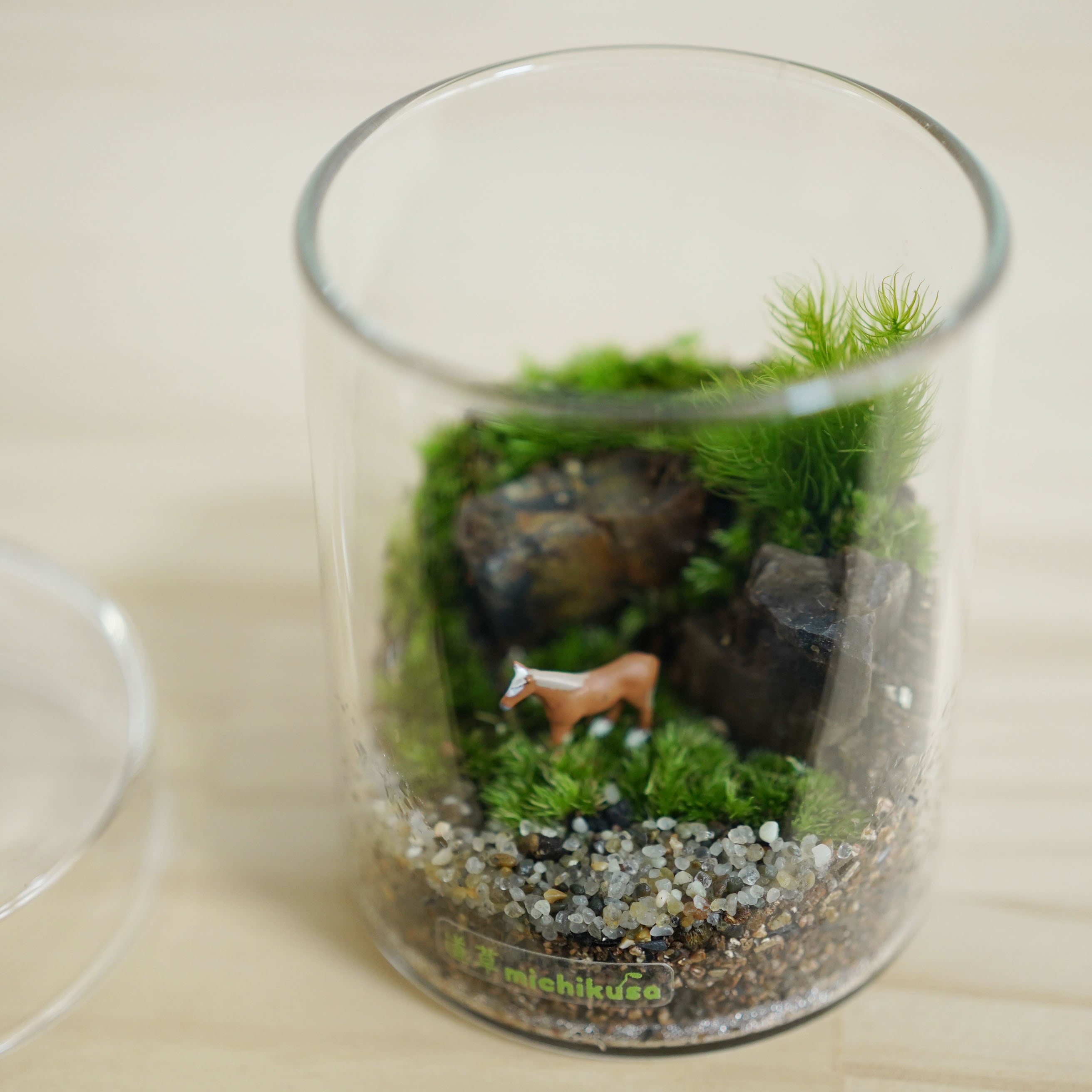 ミニチュアの世界】原野の馬の苔テラリウム シリンダー | 苔テラリウム