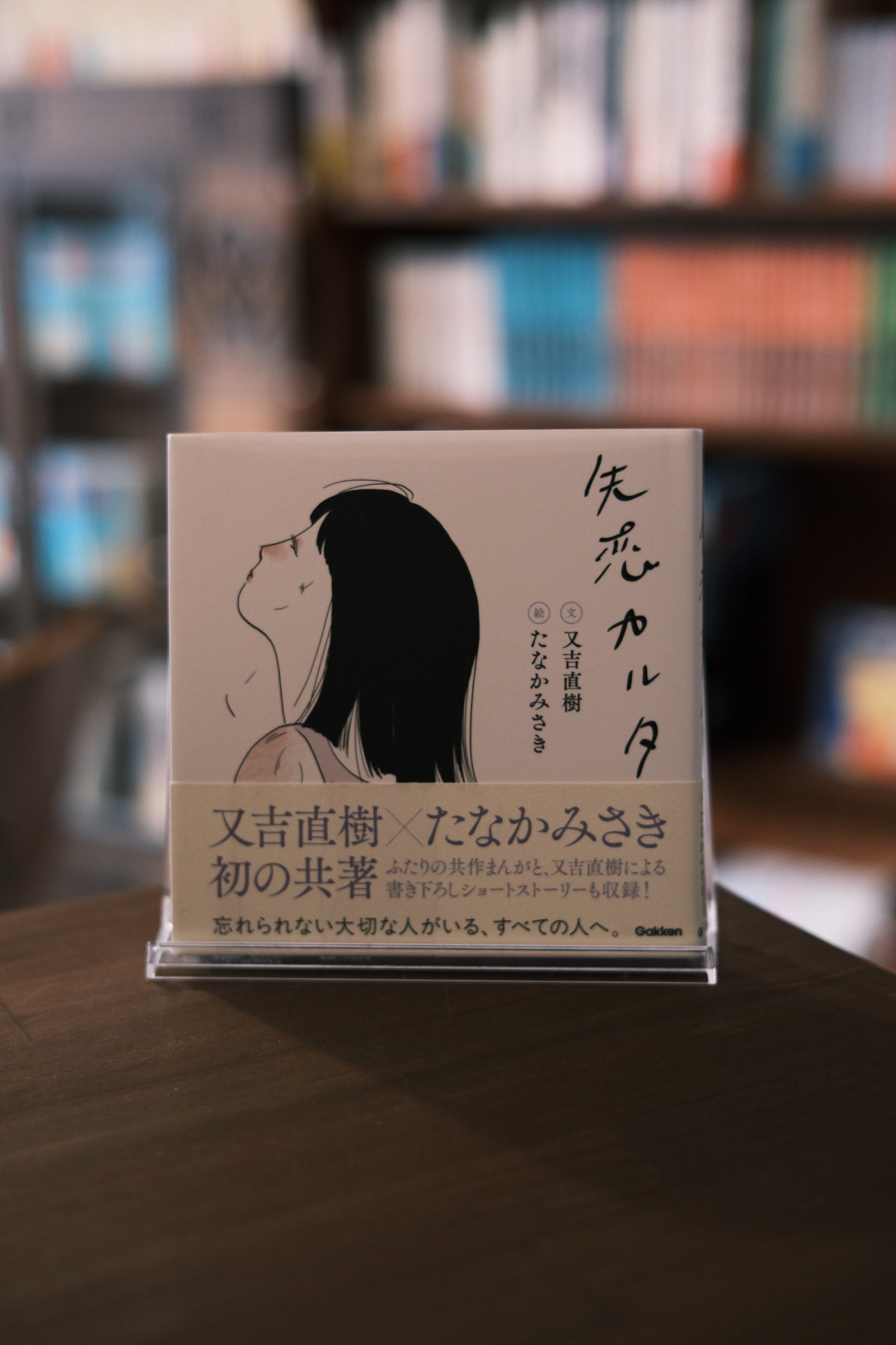 失恋カルタ | 本屋 すみれ