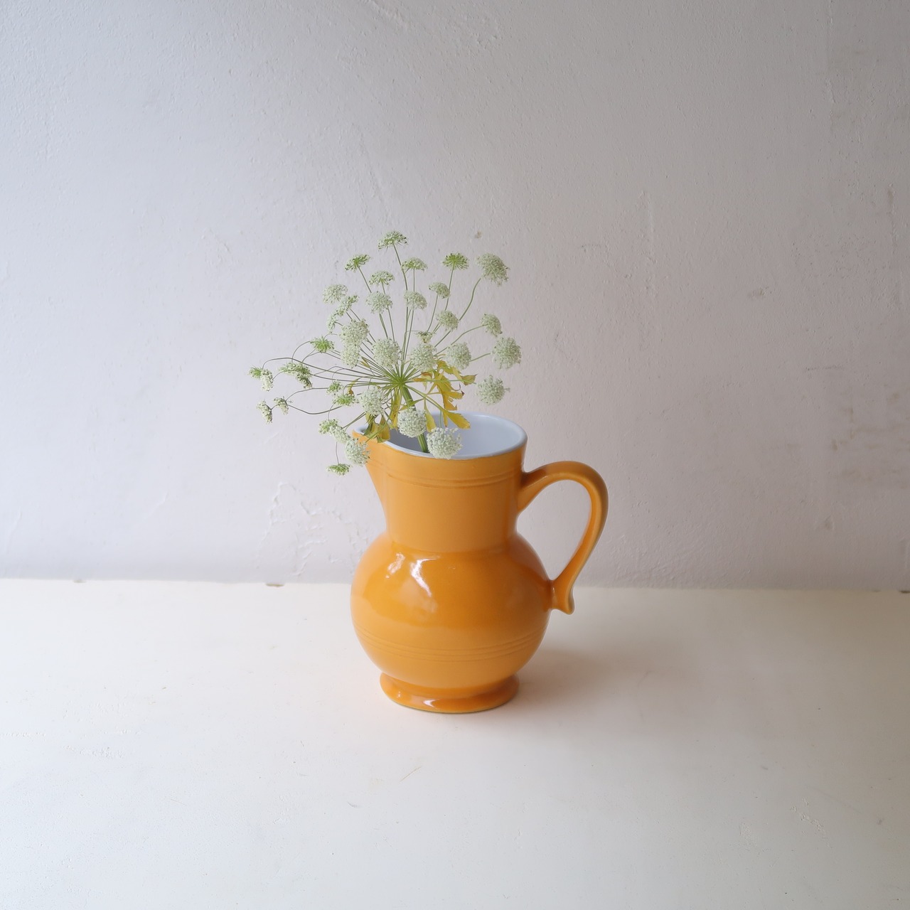 キャメルのジャグ