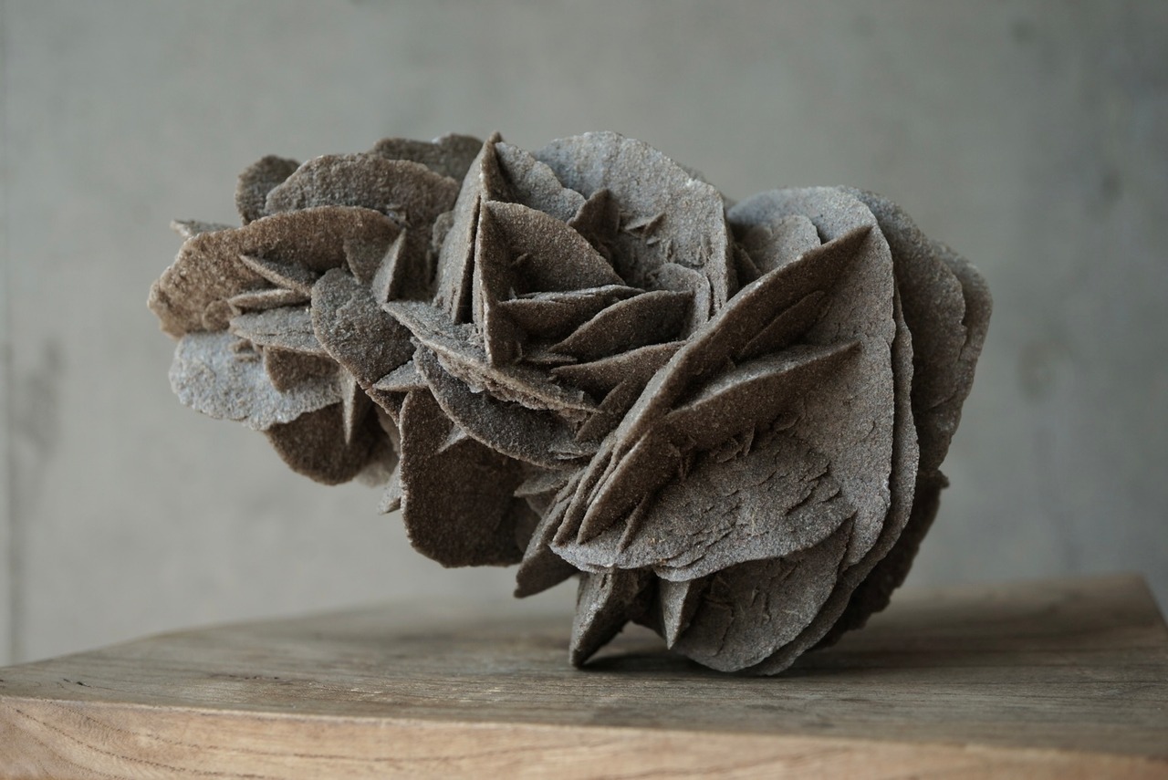 デザートローズ Desert Rose 1403