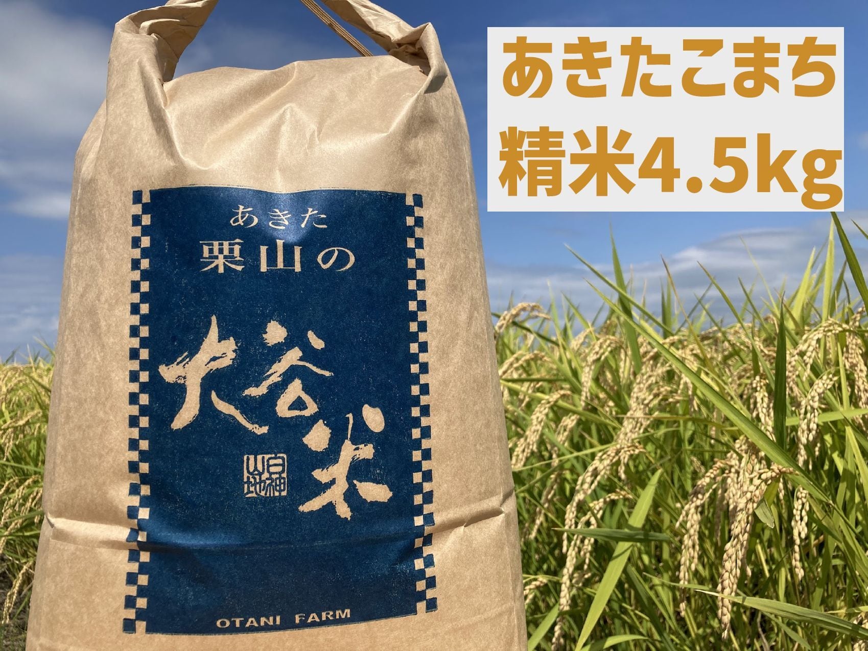 あきたこまち 10kg 農薬不使用 国産玄米 農家直送 単一品種 専用冷蔵庫 あきたこまち 10kg 玄米（真空パック） | まきおファーム｜秋田県大潟