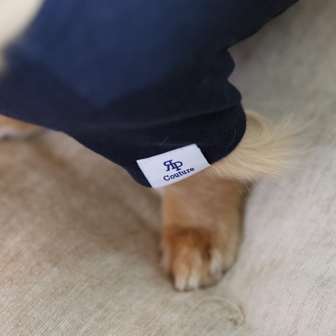 GOOD GIRL （Tシャツ） | カニンヘンダックスとミニチュアダックス専門