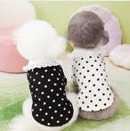 レース襟の水玉カットソー