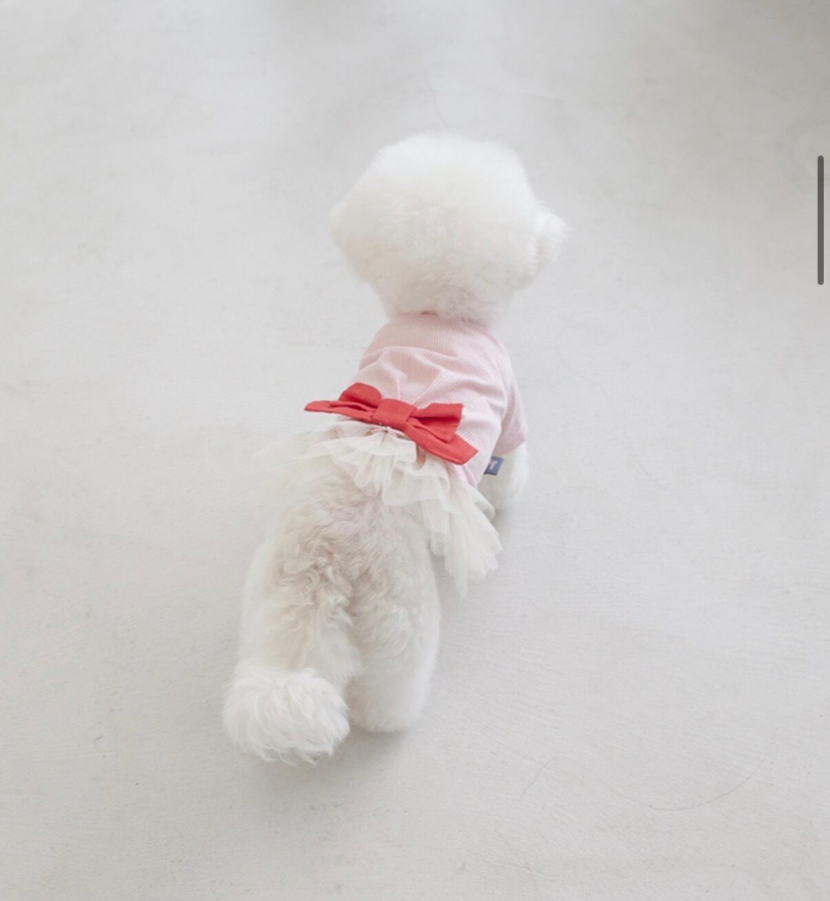 【Coco Chien】 リボン付き袖なしTシャツ