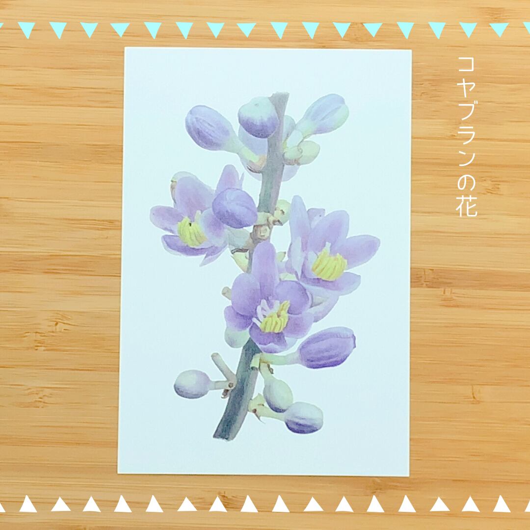 ビオトープ園の葉っぱたち ポストカードセット 花文カフェオンラインショップ