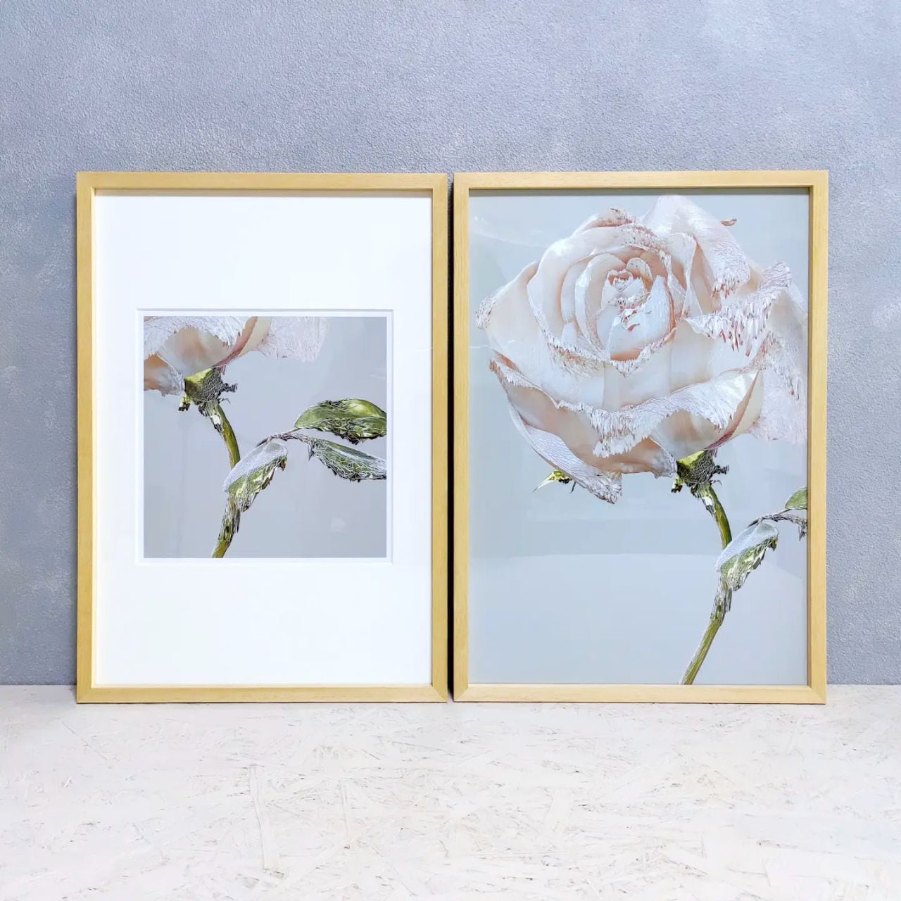 ROSE ONE - No.001, Natural, Side B / 額装済みの薔薇のオリジナル