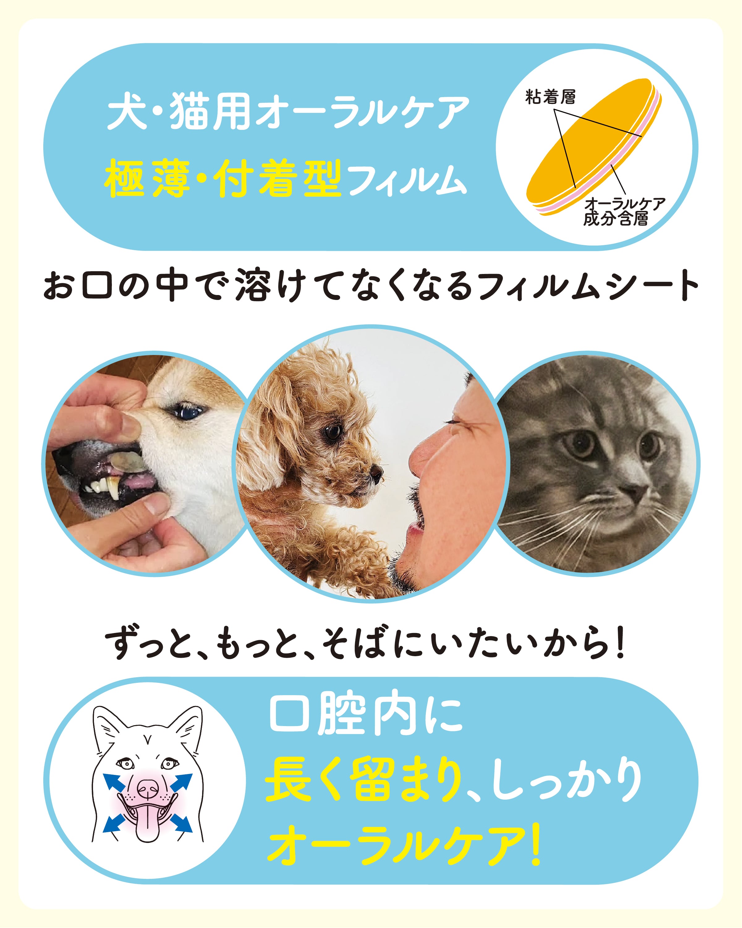 ペティオーラ AD デンタルパッチ Lサイズ（15㎏~の大型犬用） | ペティ