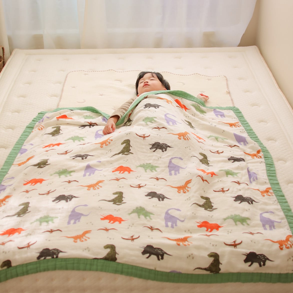 送料無料 】恐竜ブランケット | gerbera select