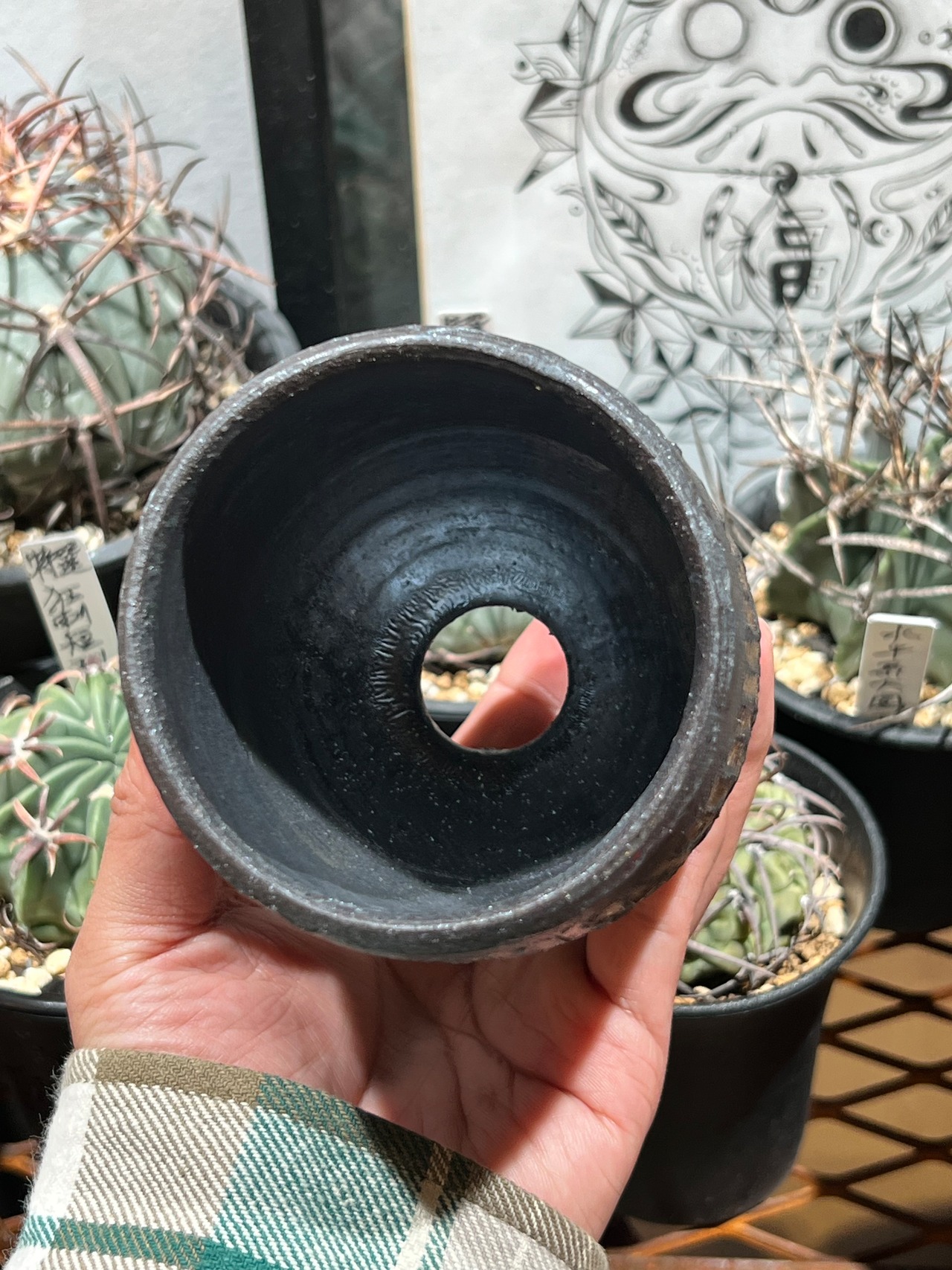 【児玉木霊】 新作植木鉢②