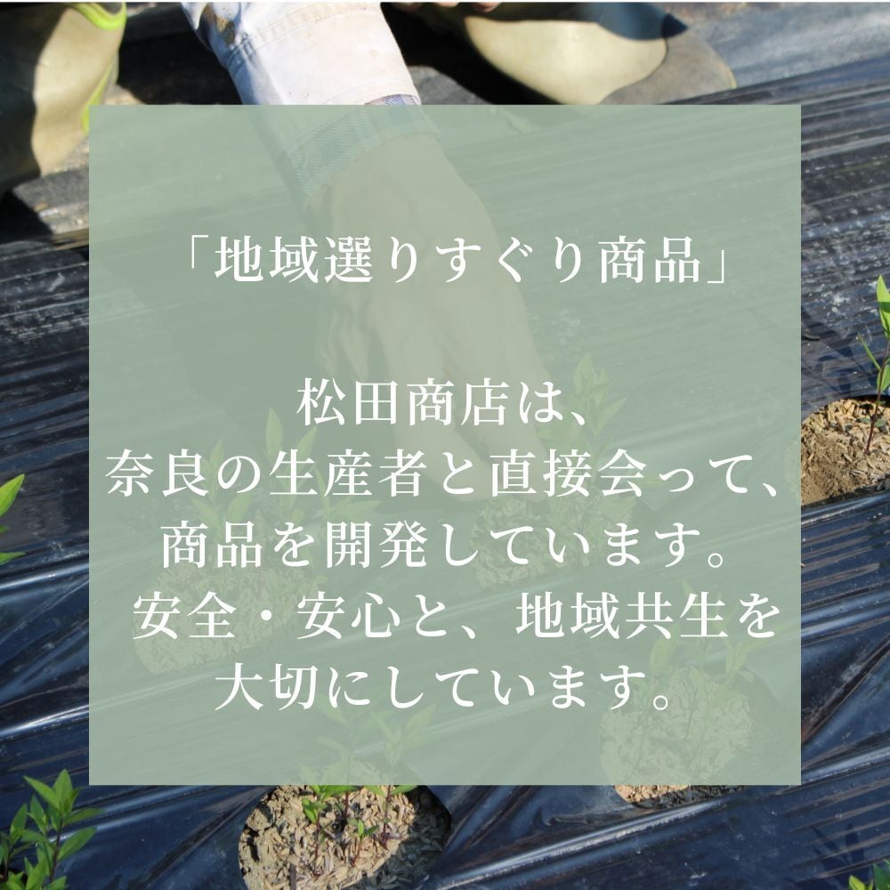 吉野ヒノキのアロマオイル （5ml） | 松田商店