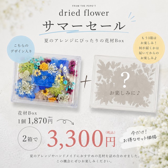 【レジン封入用】サマーセール花材2個セット