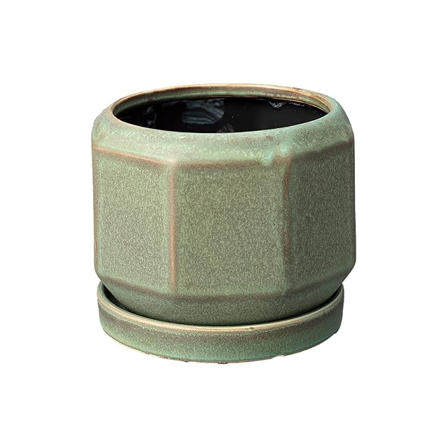 ECOPOTS Oslo エコポッツ AND PLANTS アンドプランツ (3.トープ