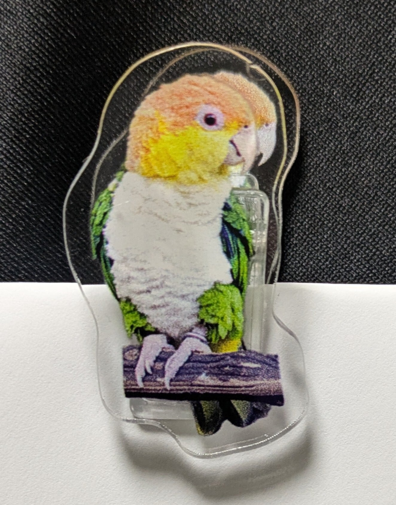 セキセイZOO