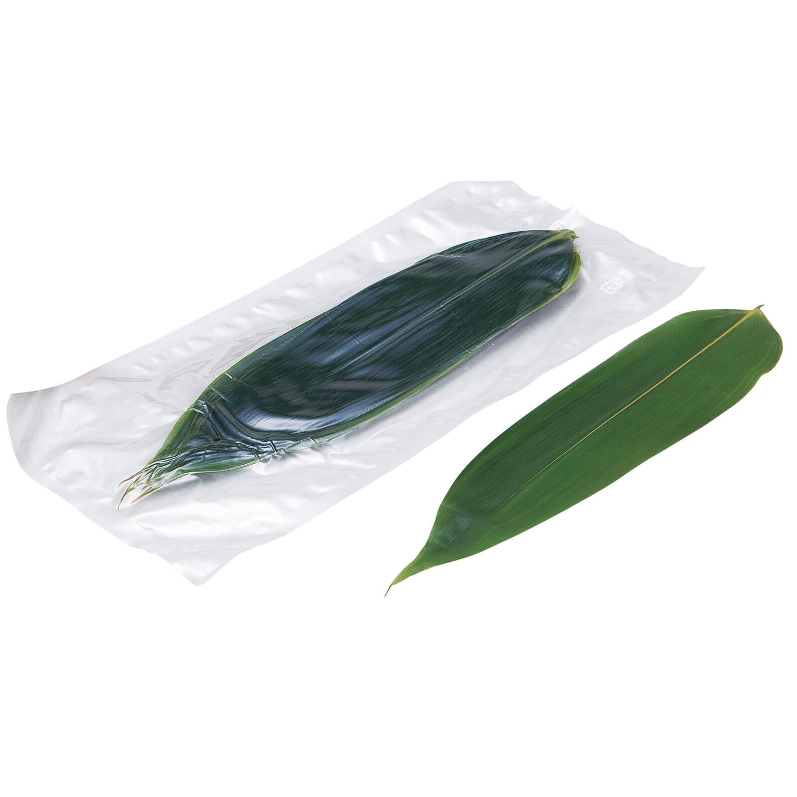 【食】天然生笹10枚(真空パック)
