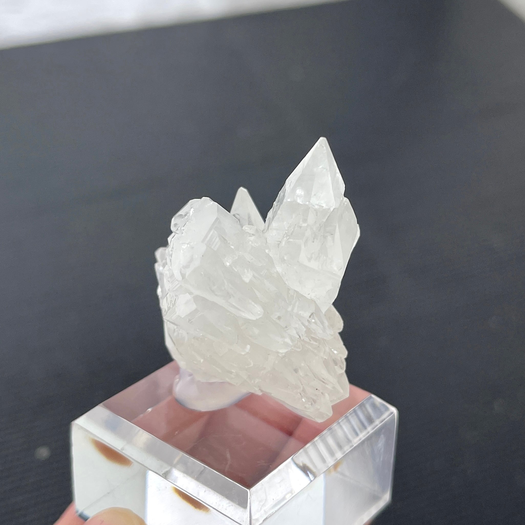 メキシコ産アラゴナイト アラゴナイト【Aragonite】メキシコ産 | PEANUTS MINERALS