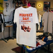 Mu-I Perfect Day in Trainspotting LOU REED