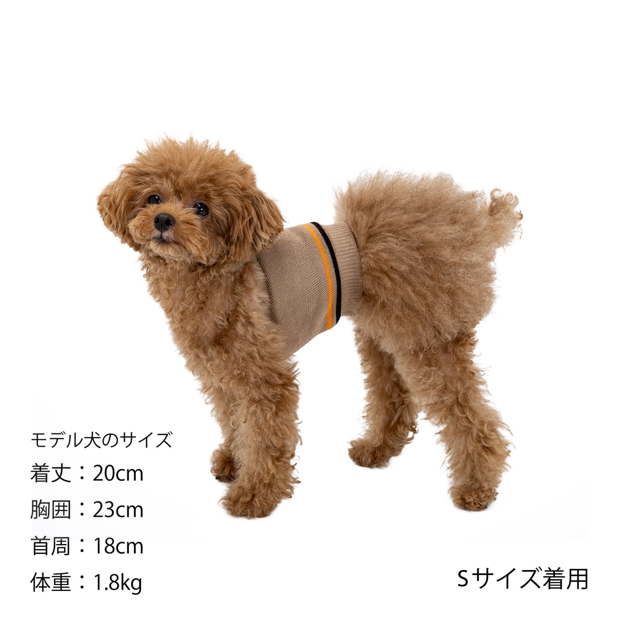 BELLY WARMER（S.M） ベリーウォーマー（S.M） | MANDARINE BROTHERS