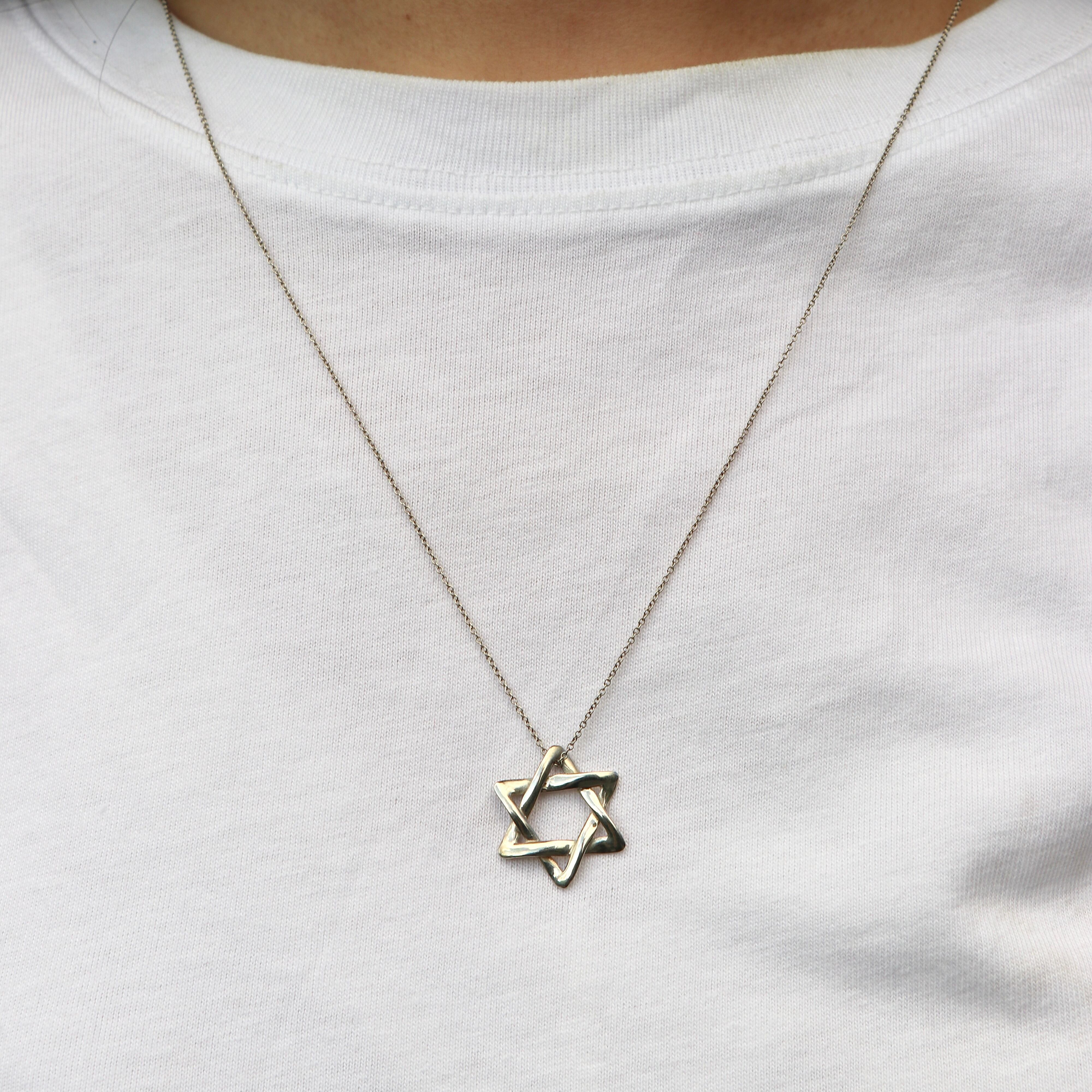 Tiffany&Co. ティファニー スターオブダビデ ネックレス シルバー925 