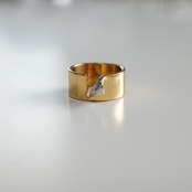 stainless wide ring SR247