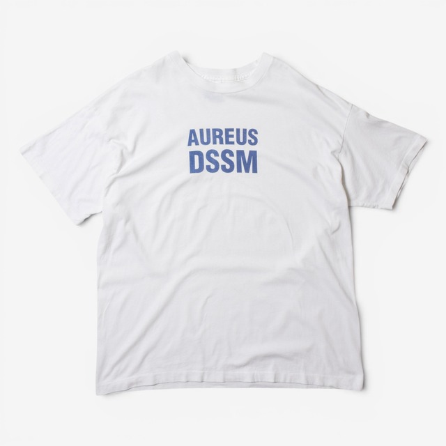 90s SCREEN STARS ロゴプリントTシャツ ホワイト USA製