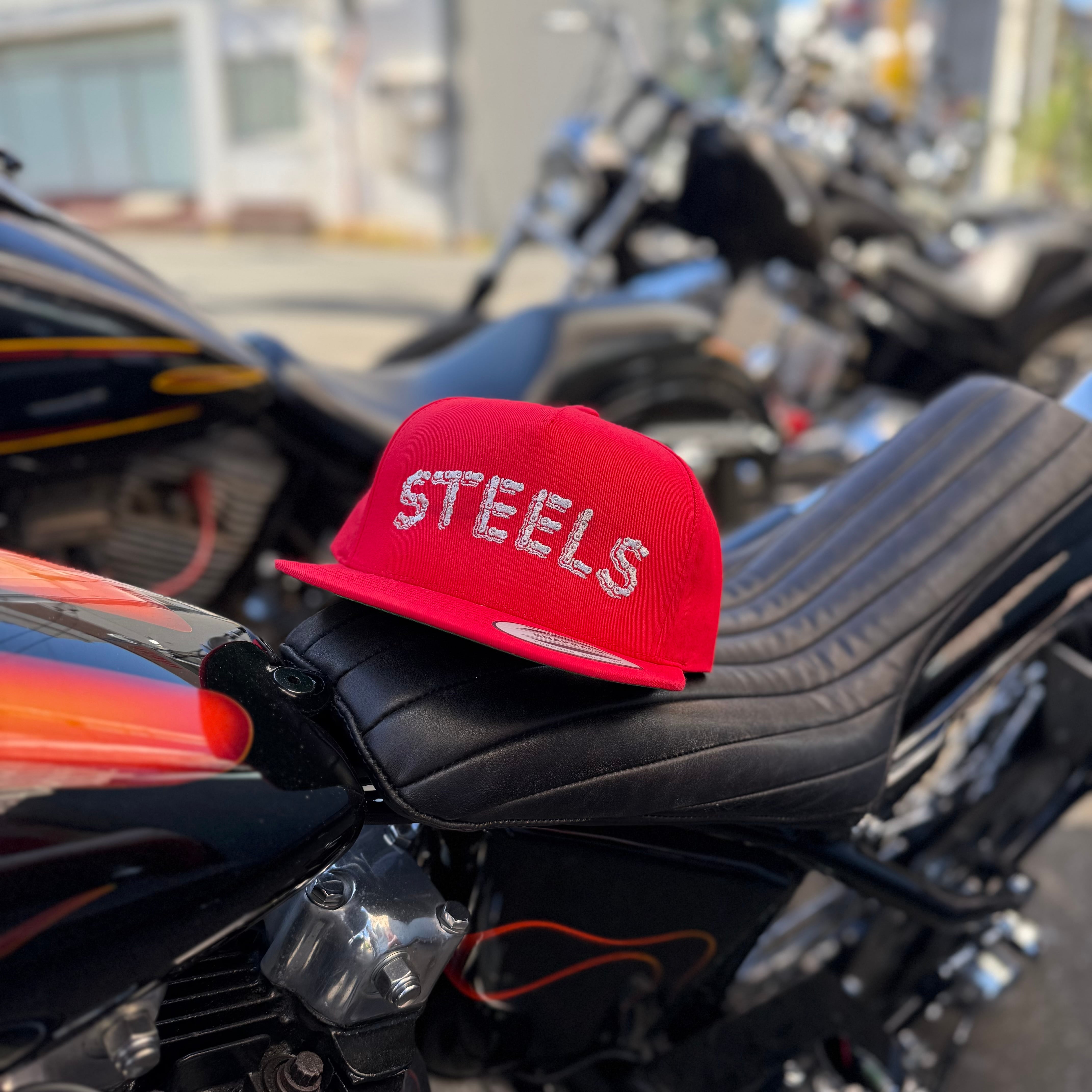 Steels cap | Pheasant