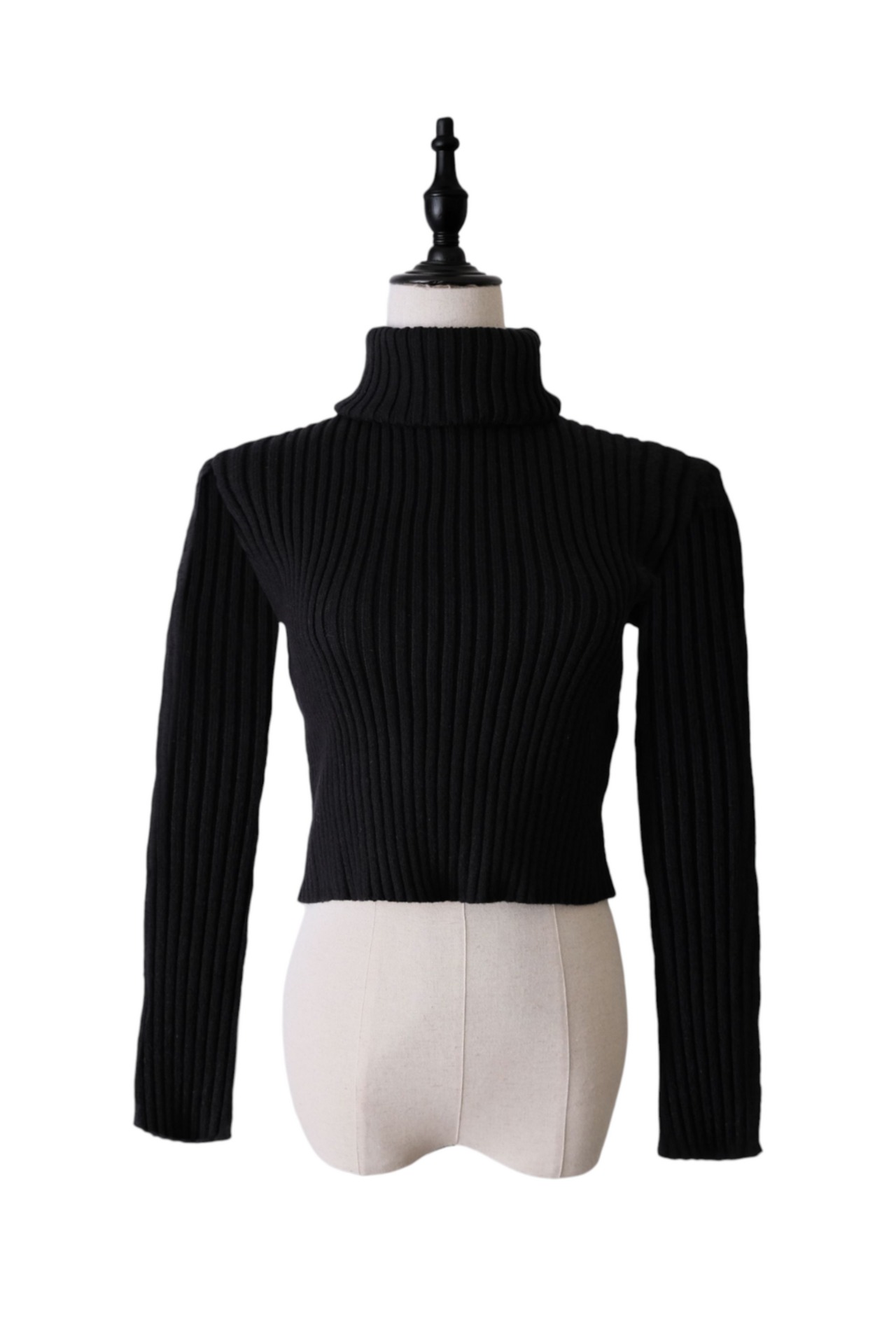 デイリーRib High Neck