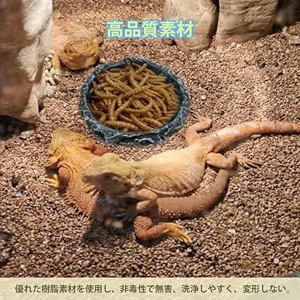 CHENLONB 爬虫類水皿 ウォーターディッシュ 自然の岩イメージ 使い易い