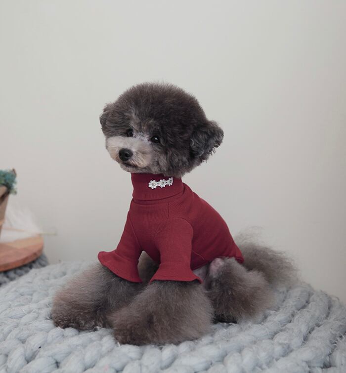 袖フリルネックポーラ S ~ XL 4color / 犬服 新作 秋冬 トップス 可愛い 犬の服 シンプル ペット洋服 ドッグウェア 犬 猫