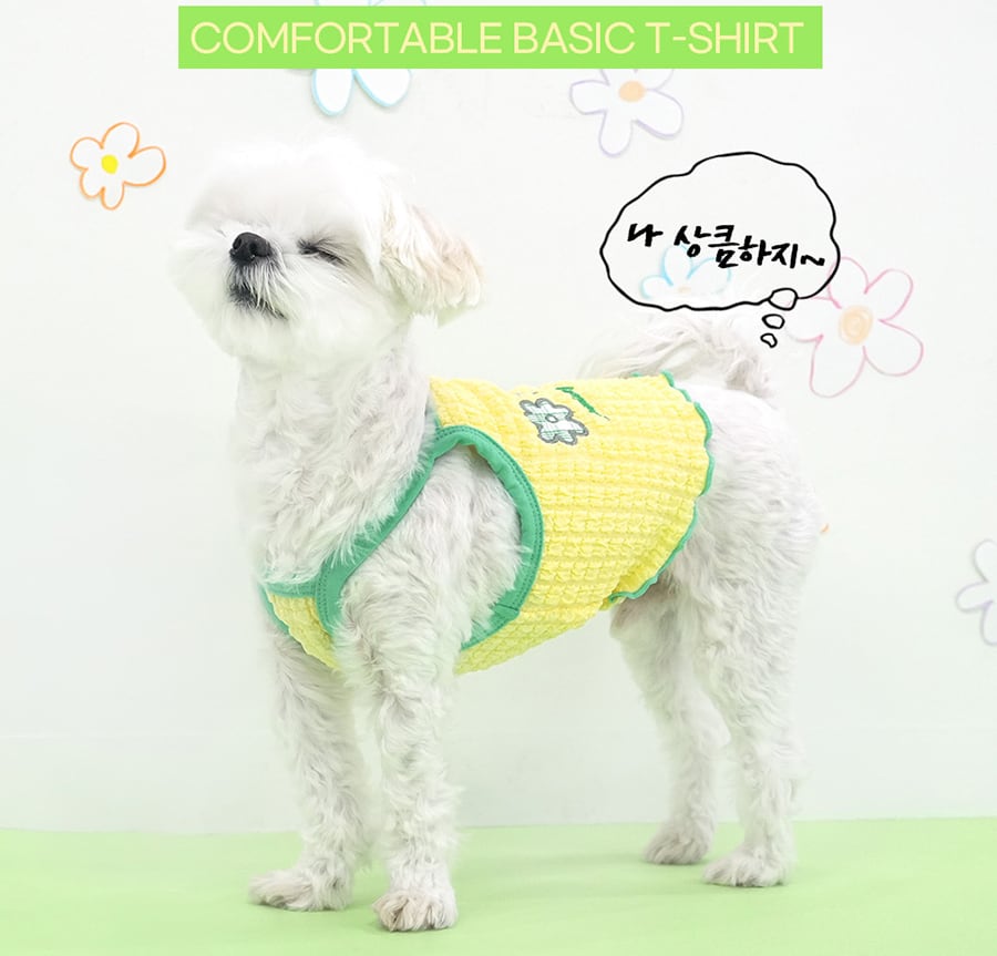 【予約商品5％OFF】triple flower bubble crop t-shirt S ~ XL 2color  /  犬服 春夏 新作 可愛い 犬の服 Tシャツ ショート丈 トップス crop top お揃い ドッグウェア 涼しい ストレッチ シンプル