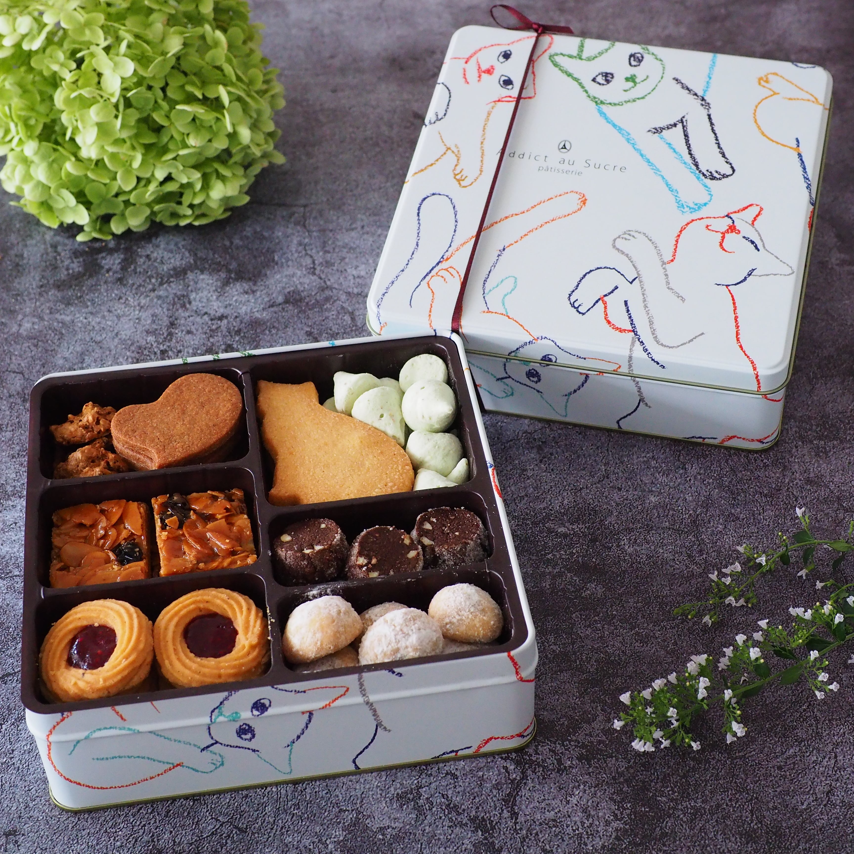 レシャ アン パステル 猫デザインのクッキー缶 8種焼き菓子セット【アディクト オ シュクル】【店頭受取専用】