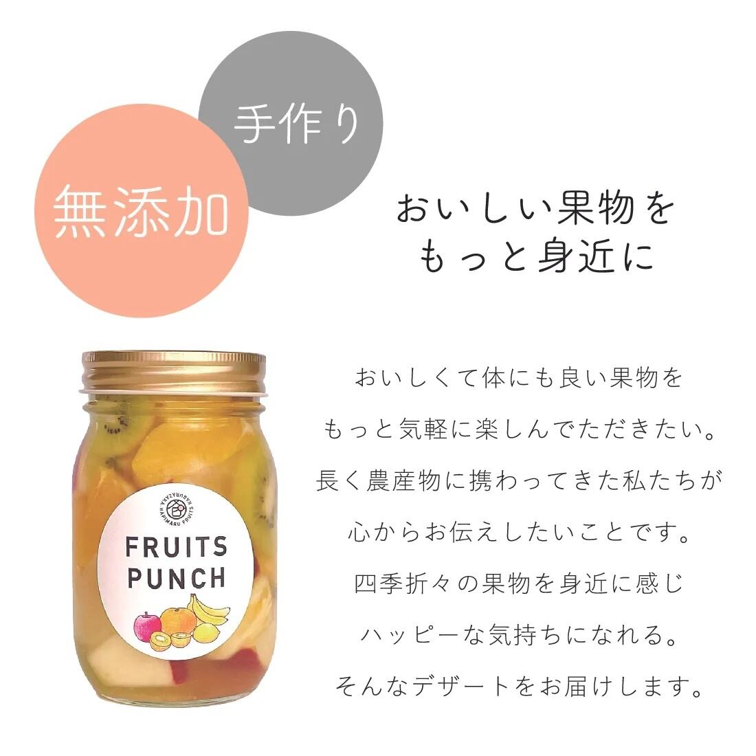 12/23-12/28着のお届け不可】【期間限定】季節のフルーツポンチ