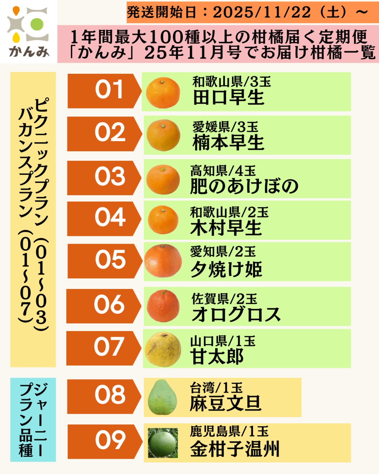 【買い切り・3品種】かんみピクニックプラン