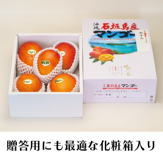 アップルマンゴー５個【約２kg】