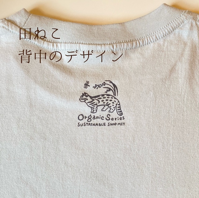 オーガニックコットンTシャツ【こねこ】