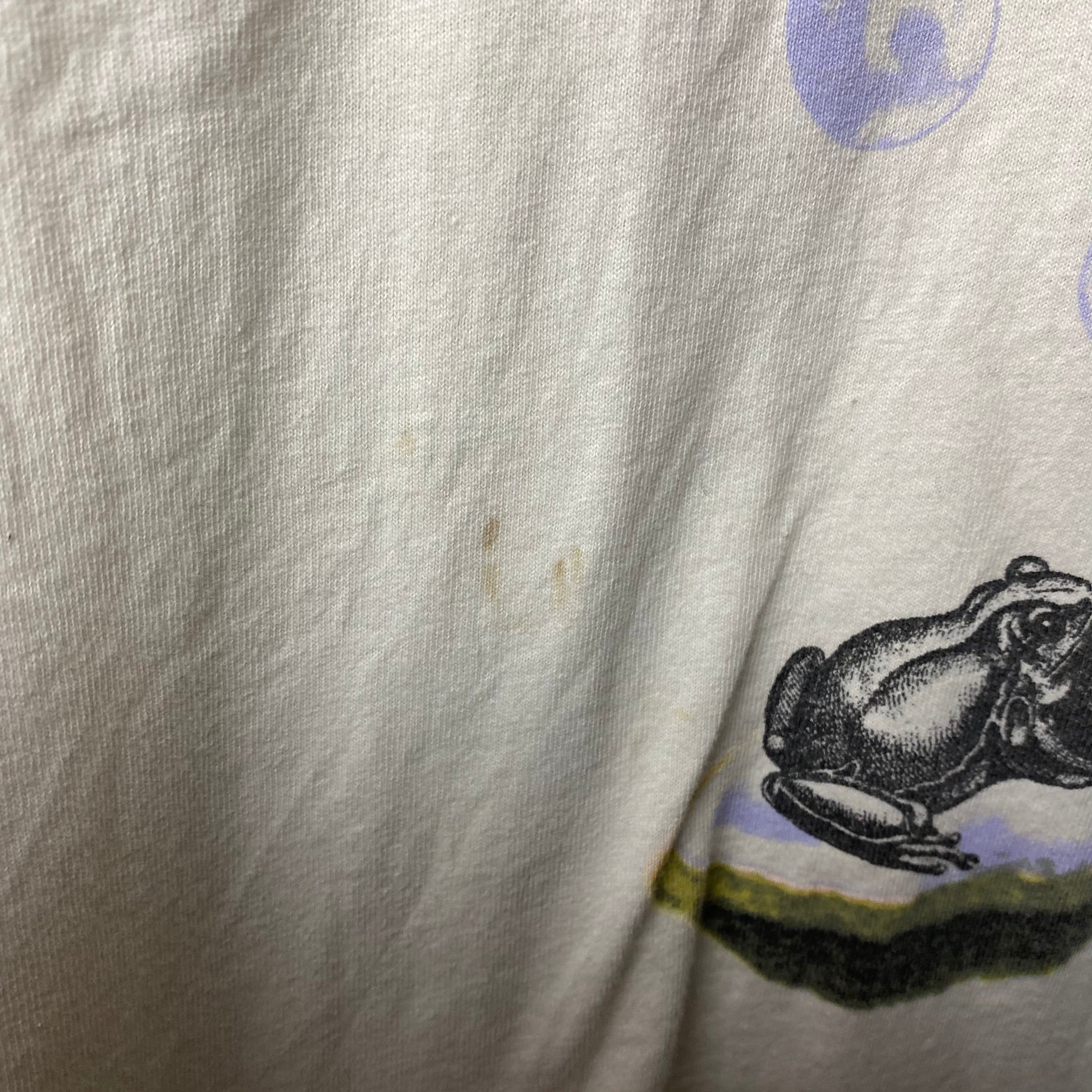 vintage 1999's COUNTING CROWS music tee “this desert life” | NOIR