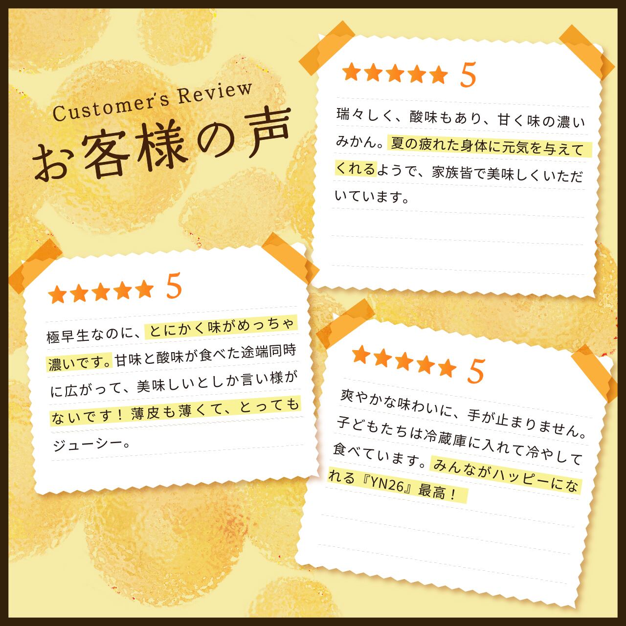 YN26 10kg 一級品(送料無料)｜和歌山で生まれた極早生みかんの新品種